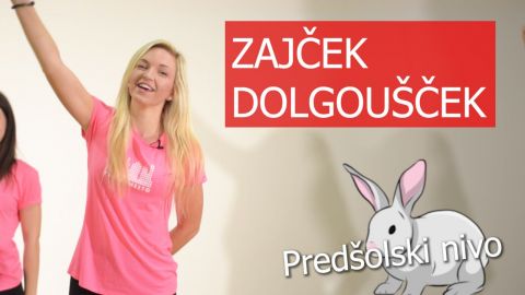 Zajček dolgoušček
